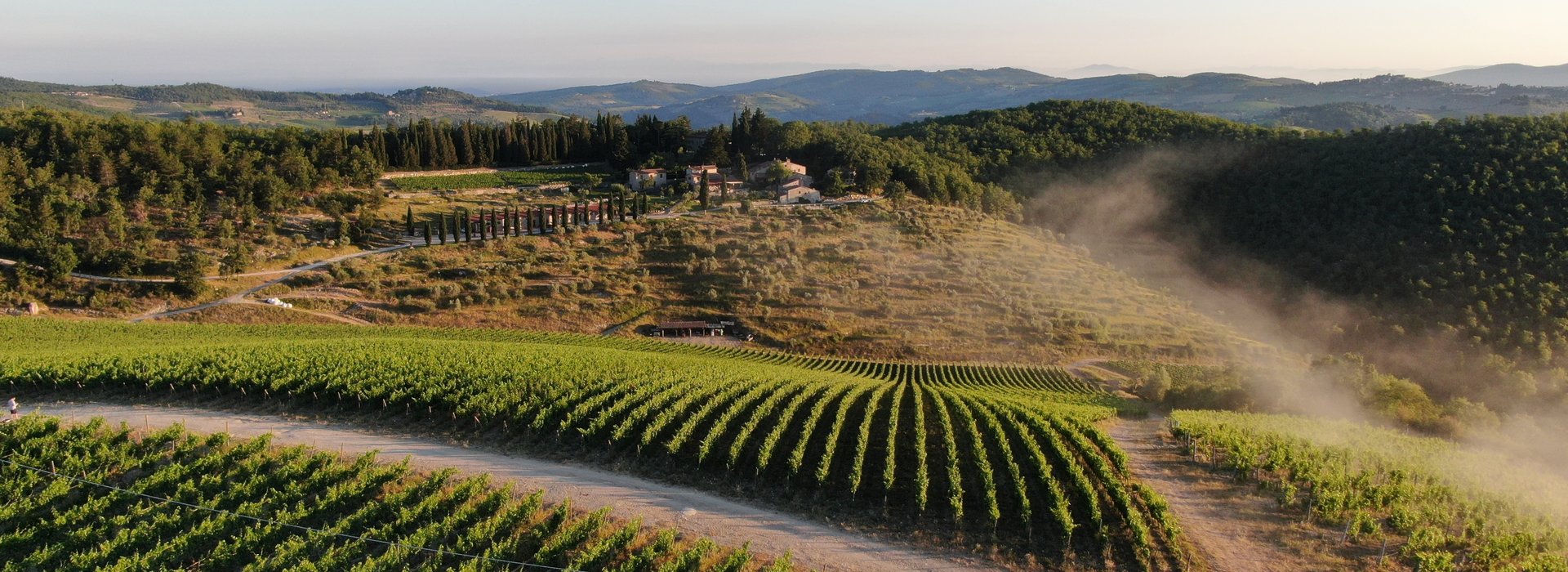 Tuscan vineyard estate with cypress avenue and rolling hills at golden hour